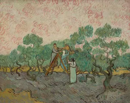 Van Gogh Zeytin Bahçesi