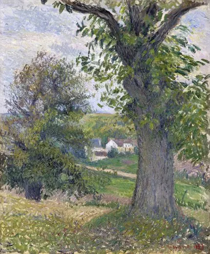 Pissarro Büyük Ağaç Manzarası