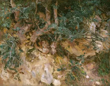 Sargent Akdeniz Çalılığı