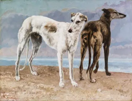 Courbet Kumsalda Tazılar