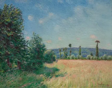 Sisley Yaz Tarlası