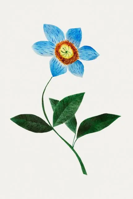 Mary Altha Nims